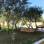 Lavanda * Vrsi