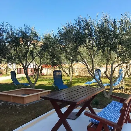 Lavanda Vrsi